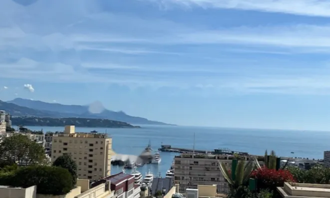 Недвижимость Apartment Monaco, Jardin Exotique: 13