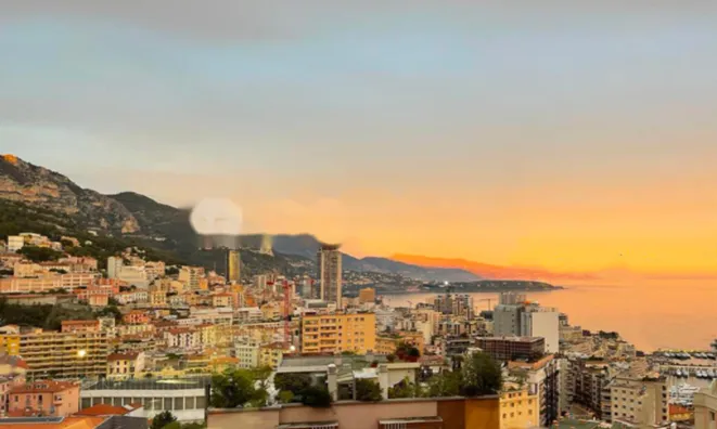 Недвижимость Apartment Monaco, Jardin Exotique: 1