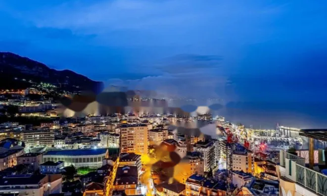 Недвижимость Apartment Monaco, Jardin Exotique: 2