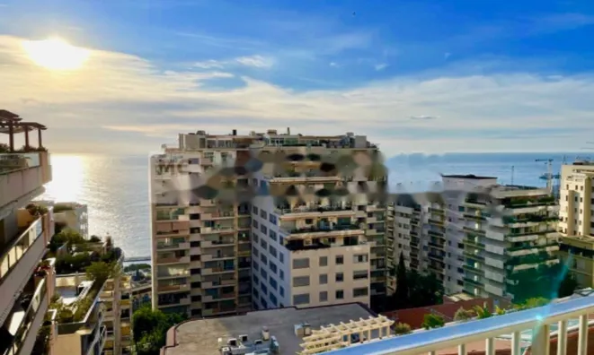 Недвижимость Apartment Monaco, La Rousse: 1