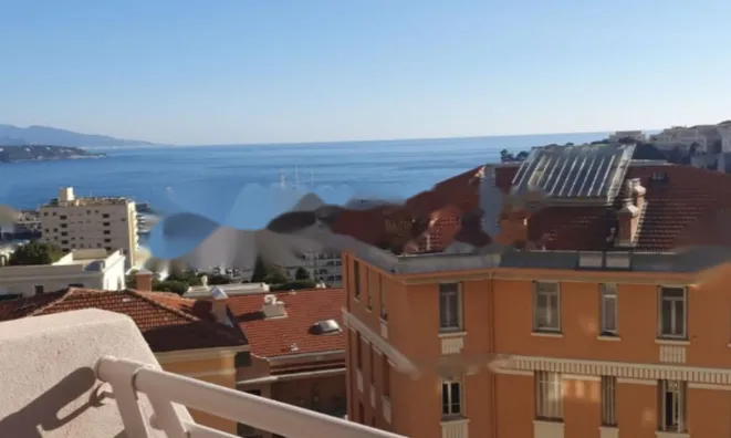 Недвижимость Apartment Monaco, Jardin Exotique: 2