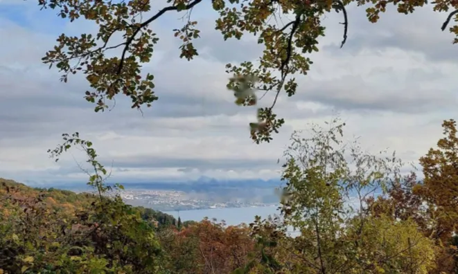 Недвижимость Трёхкомнатная квартира Ичичи: 11