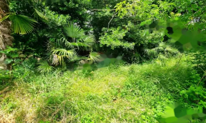 Недвижимость Двухкомнатная квартира в центре Опатии: 20