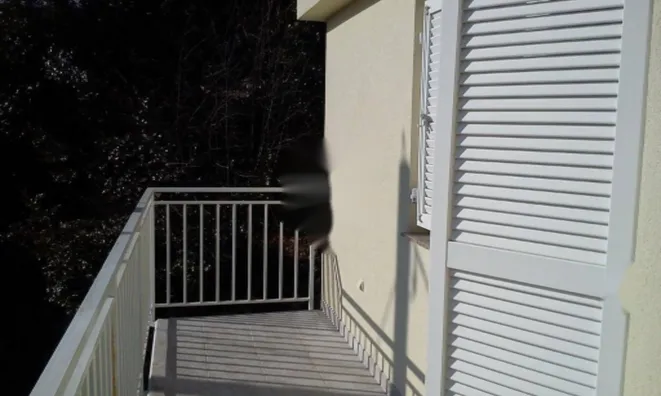 Недвижимость Семейный дом Побри, Опатия: 9