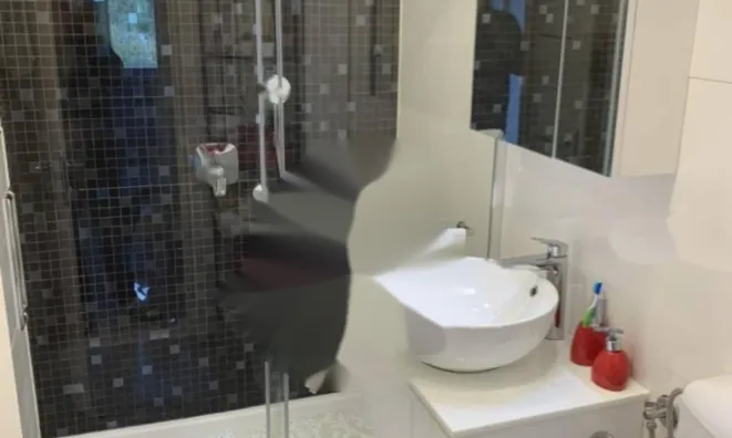 Недвижимость Трёхкомнатная квартира Ичичи: 17