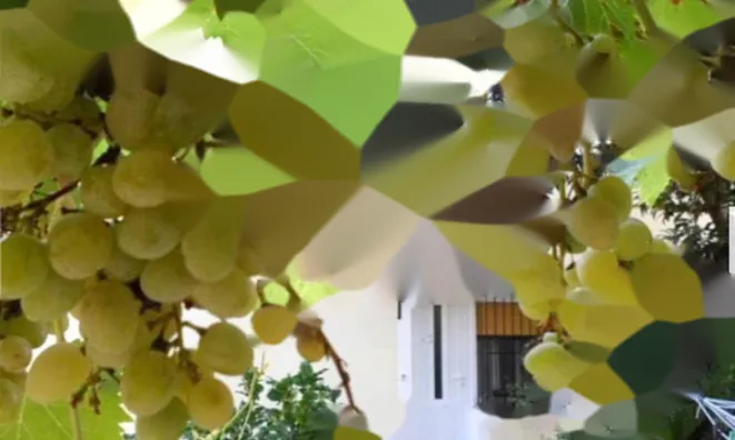 Недвижимость Четырехкомнатная квартира Центр: 11