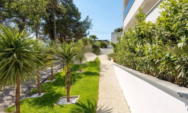 Недвижимость Трехкомнатная квартира Центр: 52