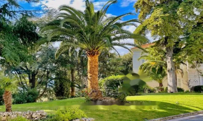 Недвижимость Apartment Cannes: 10