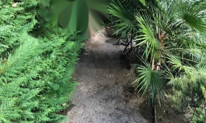 Недвижимость Apartment Cannes California: 18