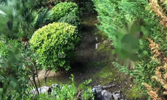 Недвижимость Apartment Cannes California: 19