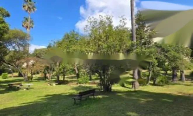 Недвижимость Apartment Pointe Croisette: 12