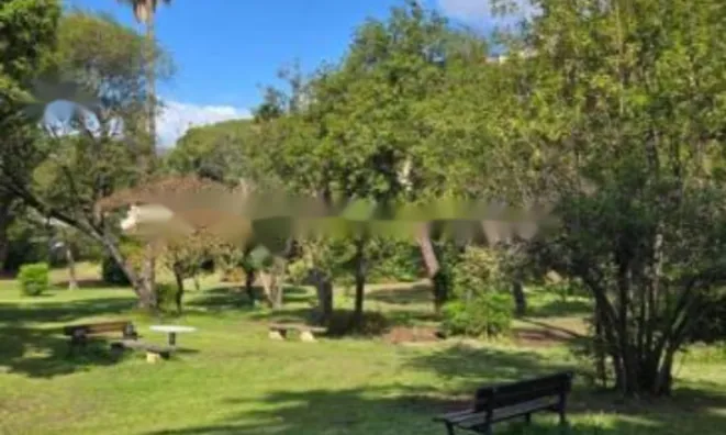 Недвижимость Apartment Pointe Croisette: 18