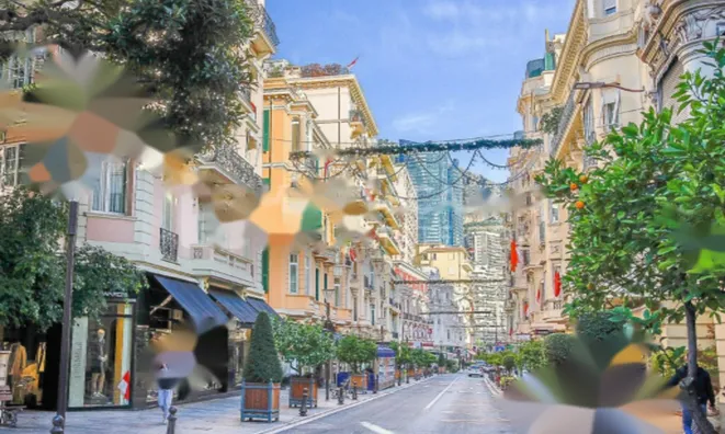Недвижимость Apartment Monaco, Monte-Carlo: 9