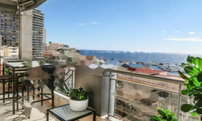 Недвижимость Apartment Monaco, Moneghetti: 9