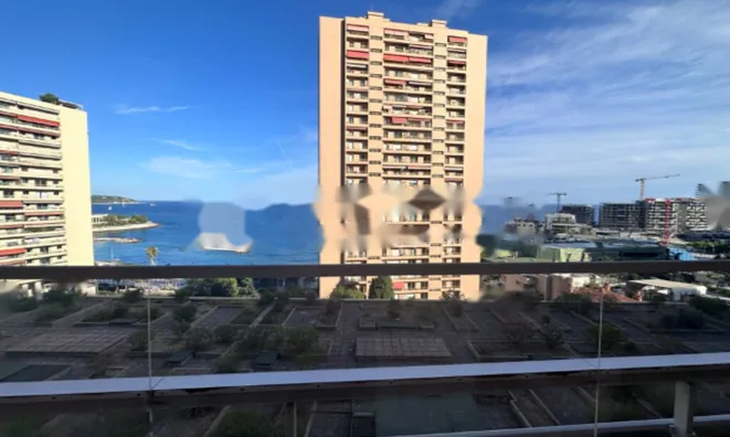 Недвижимость Apartment Monaco, La Rousse: 8