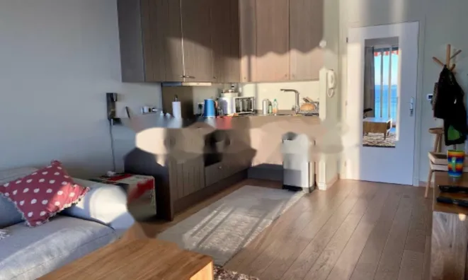 Недвижимость Apartment Monaco, La Rousse: 6