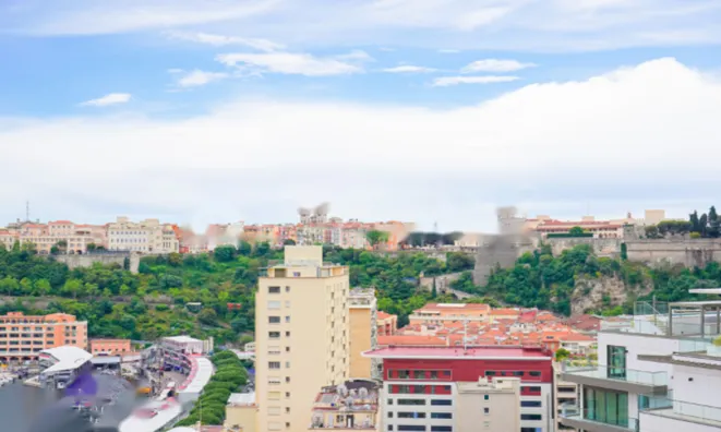 Недвижимость Apartment Monaco, Moneghetti: 2