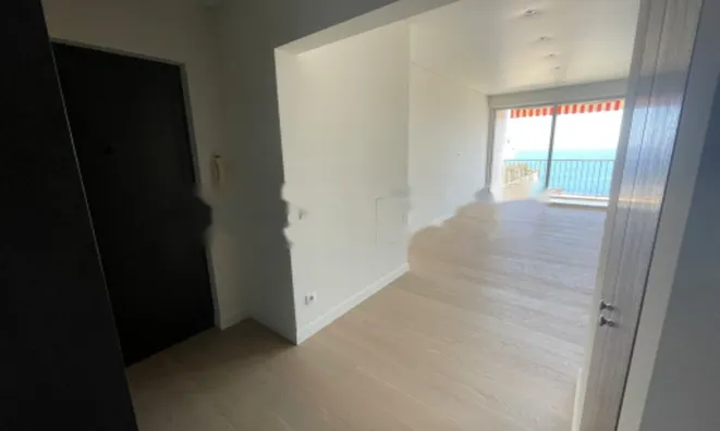 Недвижимость Apartment Monaco, La Rousse: 4