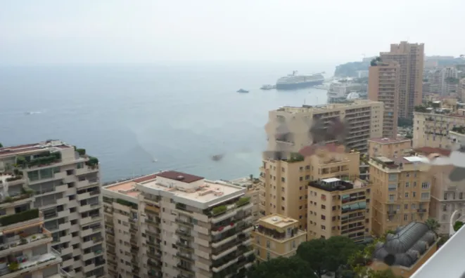 Недвижимость Apartment Monaco, La Rousse: 2