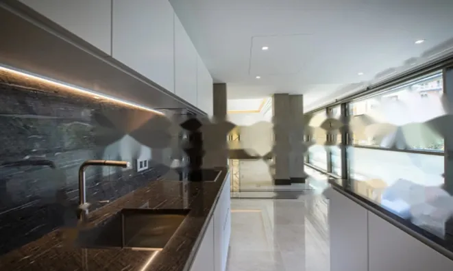 Недвижимость Apartment Monaco, Condamine: 4