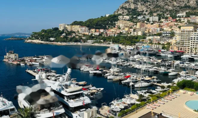 Недвижимость Apartment Monaco, Fontvieille: 5