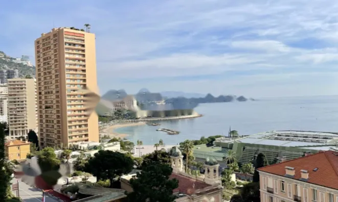 Недвижимость Apartment Monaco, Monte-Carlo: 8