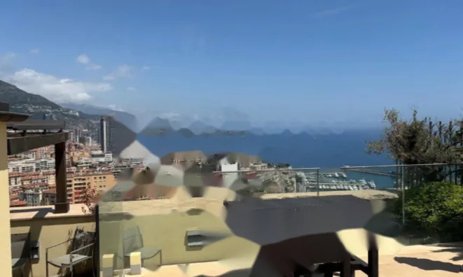 Недвижимость Apartment Monaco, Moneghetti: 2