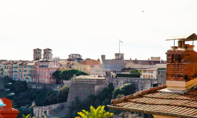 Недвижимость Apartment Monaco, Moneghetti: 9