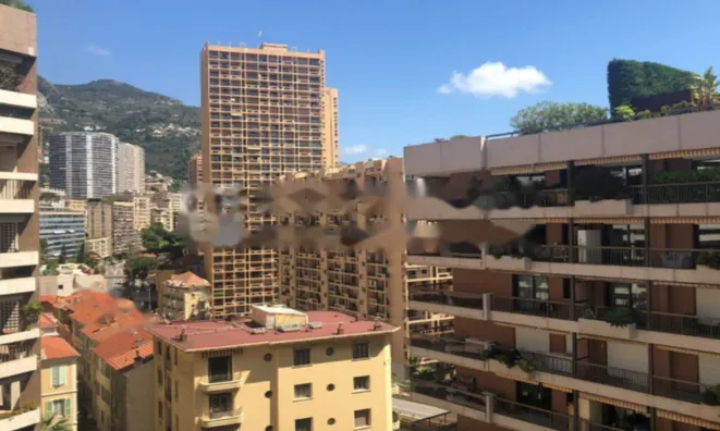 Недвижимость Apartment Monaco, Monte-Carlo: 4