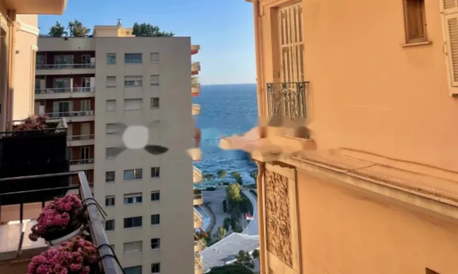 Недвижимость Apartment Monaco, La Rousse: 1