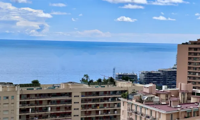Недвижимость Apartment Monaco, La Rousse: 2