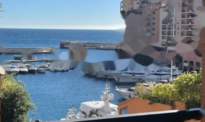 Недвижимость Apartment Monaco, Fontvieille: 2