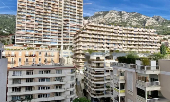 Недвижимость Apartment Monaco, La Rousse: 6