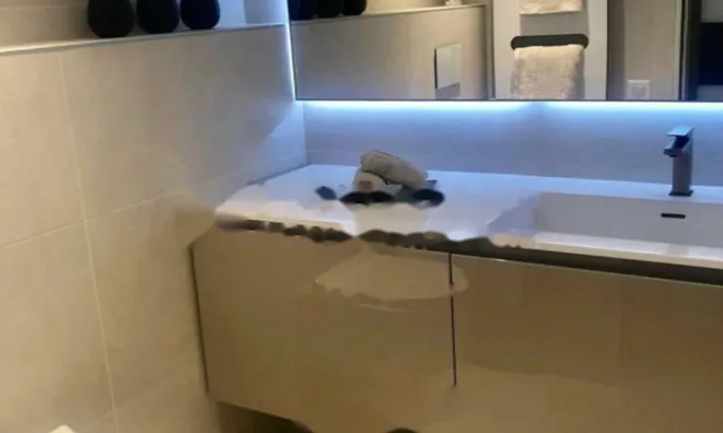 Недвижимость Apartment Monaco, La Rousse: 8