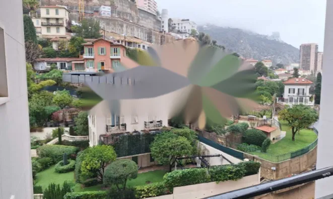 Недвижимость Apartment Monaco, La Rousse: 2