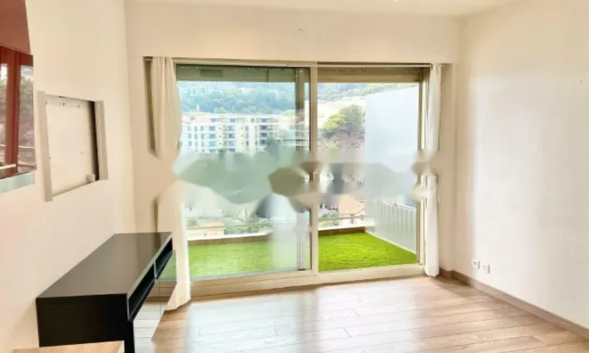 Недвижимость Apartment Monaco, La Rousse: 2