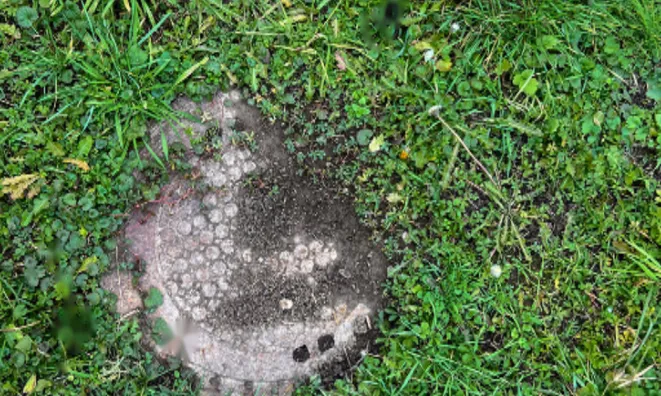 Недвижимость Дом, Петишовци: 10