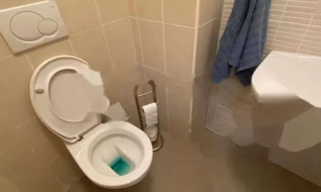 Недвижимость Трехкомнатная квартира в Центре: 8