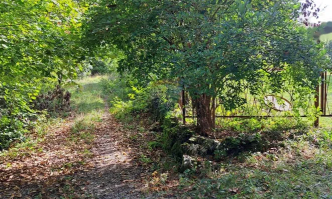 Недвижимость Семейный дом Вепринац: 4