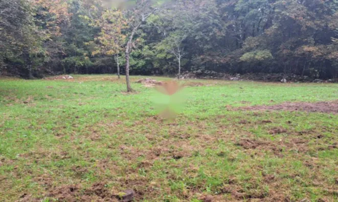 Недвижимость Семейный дом Вепринац: 6