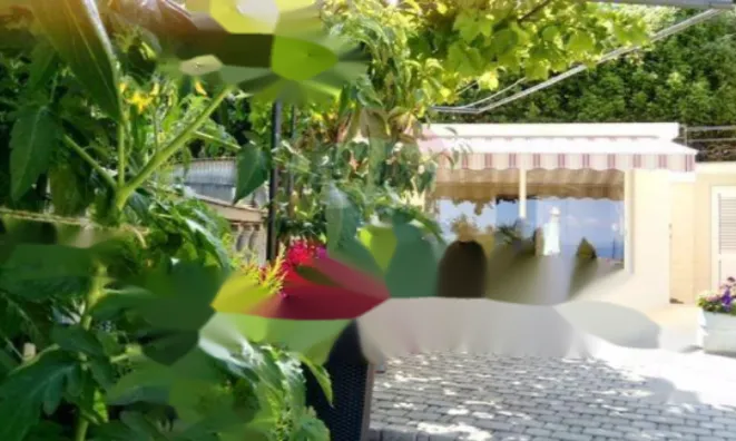 Недвижимость Двухкомнатная Квартира Ика: 7