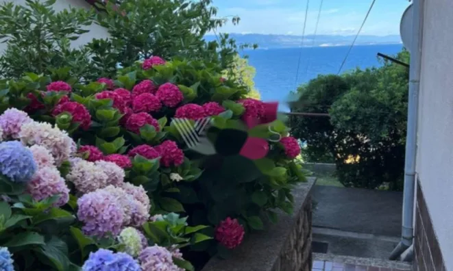 Недвижимость Двухкомнатная квартира Центр: 26