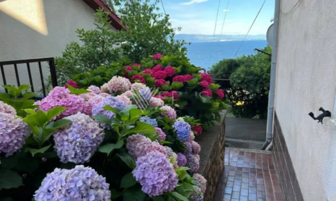 Недвижимость Двухкомнатная квартира Центр: 27