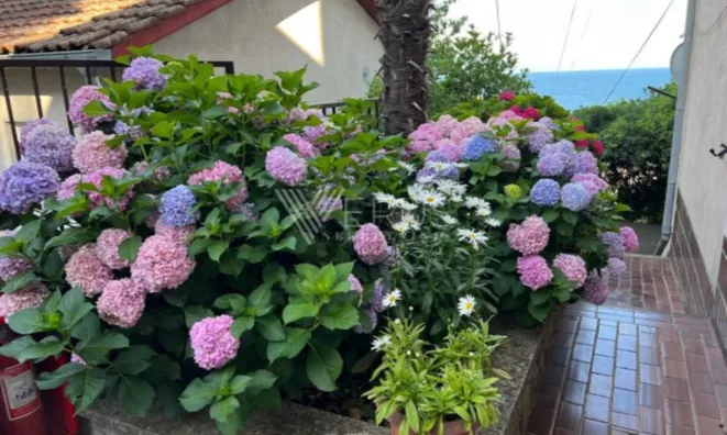 Недвижимость Двухкомнатная квартира Центр: 29