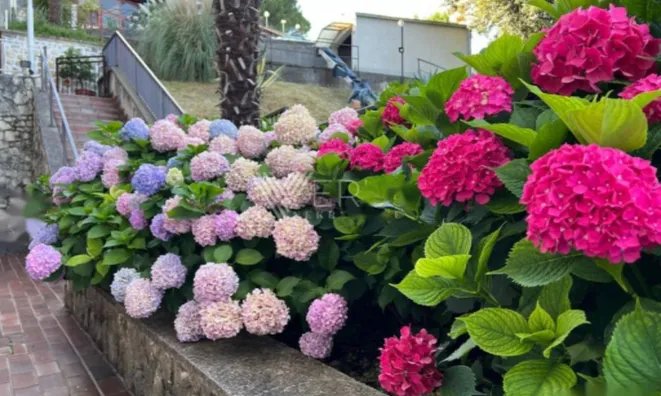 Недвижимость Двухкомнатная квартира Центр: 30