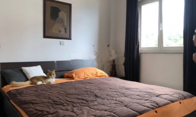 Недвижимость Четырехкомнатная квартира Побри: 10