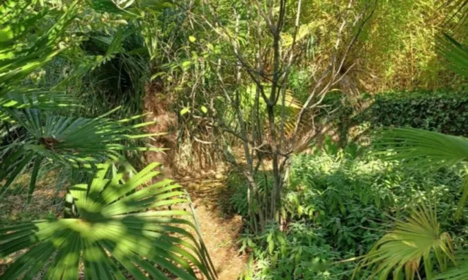 Недвижимость Трёхкомнатная квартира Опатия: 9