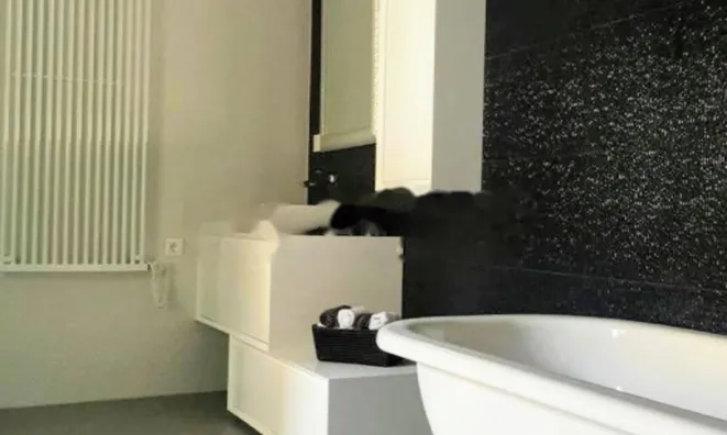 Недвижимость Трёхкомнатная квартира в центре: 11