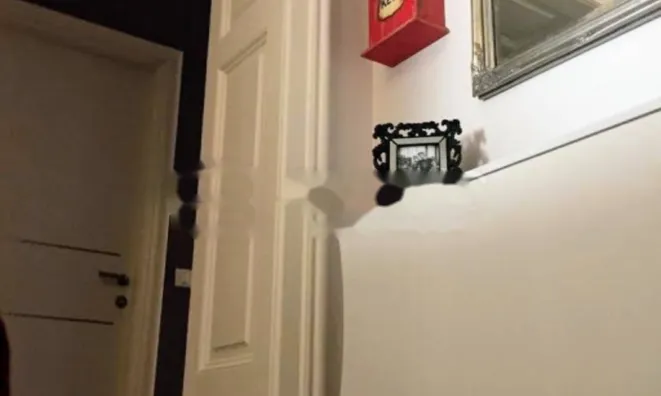 Недвижимость Трёхкомнатная квартира в центре: 14