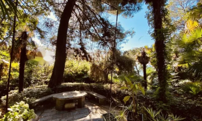 Недвижимость Четырехкомнатная квартира в Центре Опатии: 32